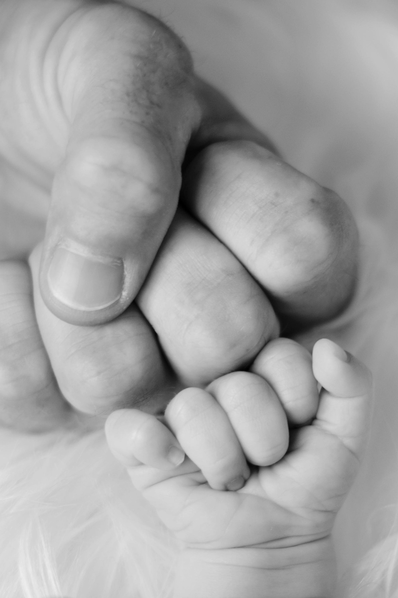 5921373-baby-2717349_1920